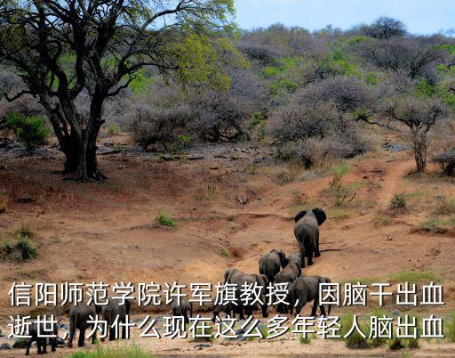 信陽師范學院有多少正教授,信陽師范學院許軍旗教授