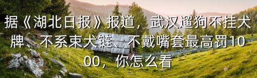 在武漢養狗怎么辦證,武漢怎么辦理狗證