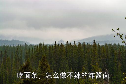 河南人炸醬鹵怎么做,怎么做不辣的炸醬鹵