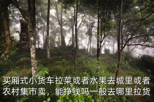 眉山城里哪里買水果,老百姓去城里賣蔬菜水果