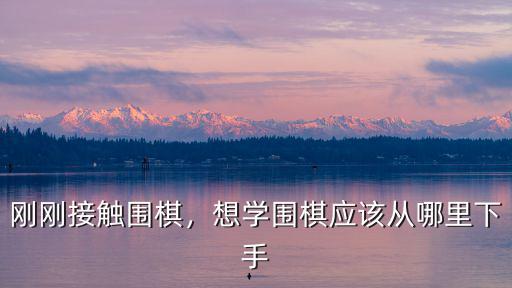 眉山哪里學圍棋的,學圍棋去哪里好