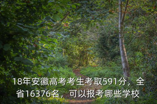 18年安徽高考考生考取591分，全省16376名，可以報考哪些學校