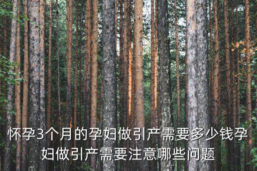宿州市立醫院懷孕3個月做引產多少錢,懷孕六個月的時候去做引產