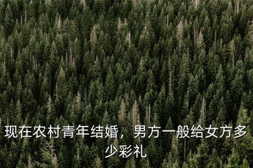 保定安新彩禮一般多少,娶媳婦一般給多少彩禮