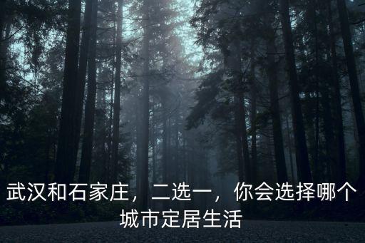 武漢去石家莊油錢多少,武漢和石家莊