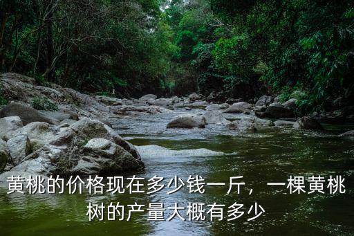 唐山黃桃價格多少錢一斤,黃桃的價格現在多少錢一斤