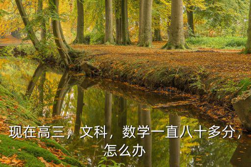 現在高三，文科，數學一直八十多分，怎么辦