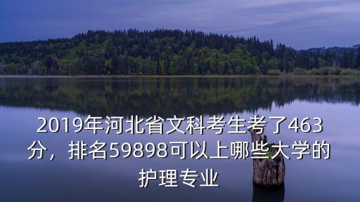 2019年河北省文科考生考了463分，排名59898可以上哪些大學的護理專業