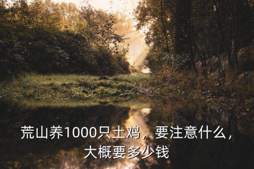 保定柴雞苗多少錢,大概要多少錢