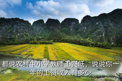 都說農村中小學教師工資低，說說你一年的工資收入有多少