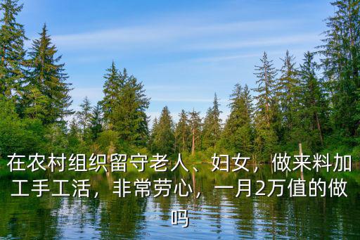 在農村組織留守老人、婦女，做來料加工手工活，非常勞心，一月2萬值的做嗎