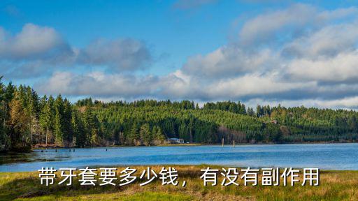 池州戴牙套多少錢,帶牙套最低多少錢