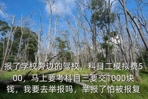 報了學校旁邊的駕校，科目二模擬費500，馬上要考科目三要交1000塊錢，我要去舉報嗎，舉報了怕被報復