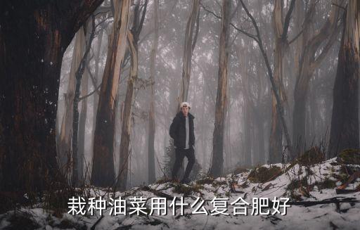油菜追肥畝用多少復合肥,栽種油菜用什么復合肥好