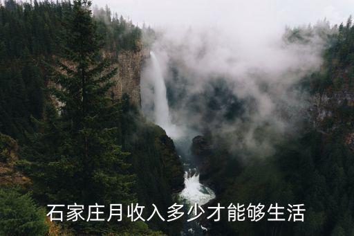 石家莊三口生活每月多少錢,石家莊月收入多少才能夠生活