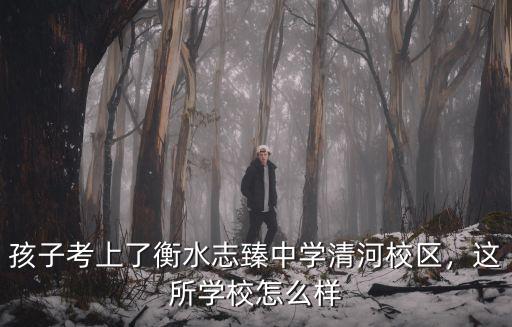 孩子考上了衡水志臻中學清河校區，這所學校怎么樣