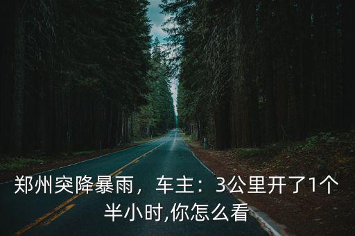 鄭州突降大雨哪里積水了,鄭州突降大雨道路成汪洋