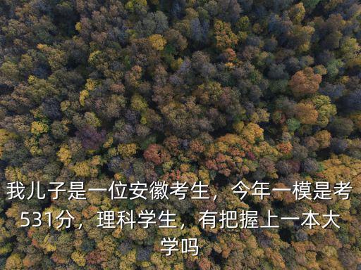 我兒子是一位安徽考生，今年一模是考531分，理科學生，有把握上一本大學嗎