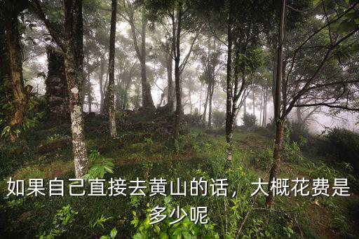 六個人去黃山多少親,一家六口去黃山要多少錢
