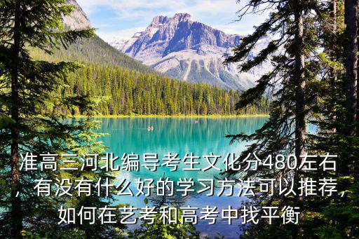 準高三河北編導考生文化分480左右，有沒有什么好的學習方法可以推薦，如何在藝考和高考中找平衡