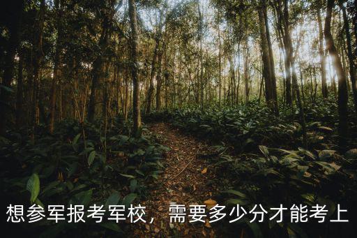 想參軍報考軍校，需要多少分才能考上
