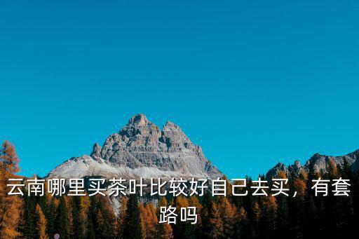 云南哪里買茶葉比較好自己去買，有套路嗎