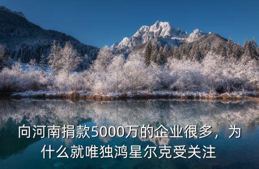 向河南捐款5000萬的企業很多，為什么就唯獨鴻星爾克受關注