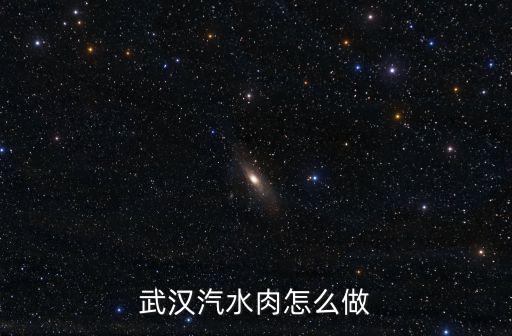 湖北肉餅怎么做,武漢汽水肉怎么做