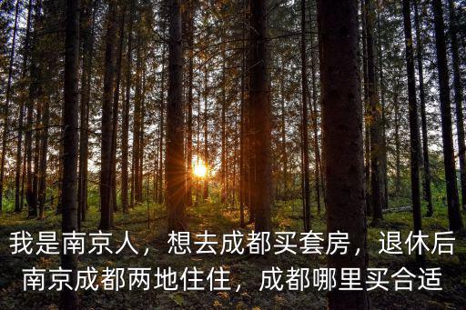 成都哪里有賣南京大觀園,成都哪里買合適