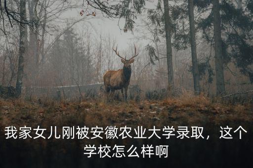 我家女兒剛被安徽農業大學錄取，這個學校怎么樣啊