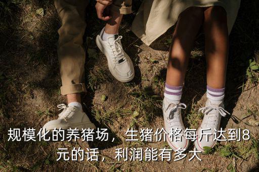 河南規(guī)?；B(yǎng)豬場(chǎng)有多少,規(guī)?；酿B(yǎng)豬場(chǎng)