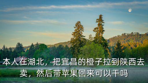本人在湖北，把宜昌的橙子拉到陜西去賣，然后帶蘋果回來可以干嗎