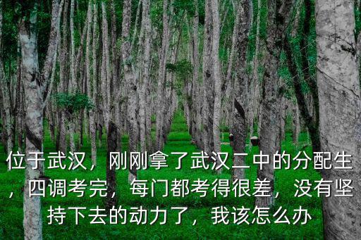 武漢二中簽約怎么談,四調(diào)簽約是怎么回事