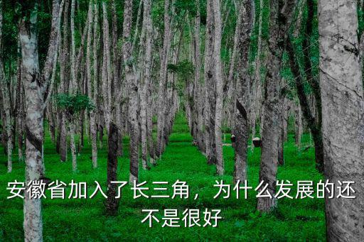 安徽省有多少城市劃到長三角,合肥是長三角的大城市