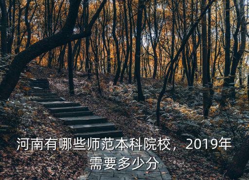 河南幼師本科多少分,2019年需要多少分