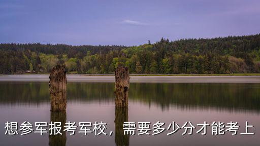 想參軍報考軍校，需要多少分才能考上