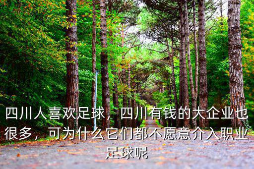 四川人的錢都花哪里了,錢都花到了哪里