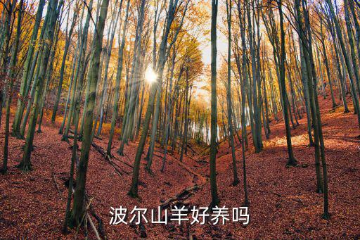 波爾山羊好養嗎