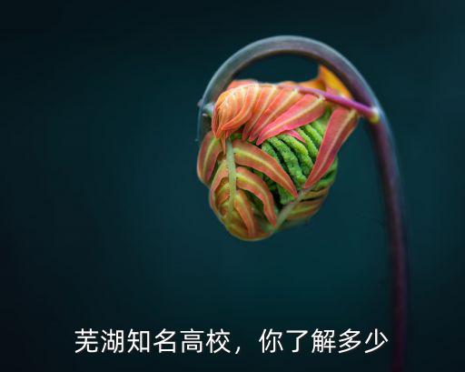 蕪湖汽車工程學校多少分,安徽工程大學全國排名多少