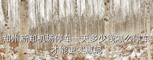 鄭州飛機場停車費多少錢怎么收費,鄭州新鄭機場停車一天多少錢