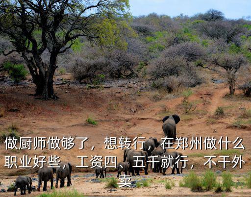 在鄭州做廚師工資怎么樣,在鄭州做廚師四年了