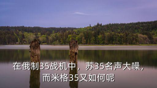 在俄制35戰(zhàn)機(jī)中，蘇35名聲大噪，而米格35又如何呢