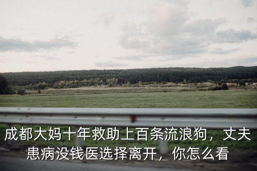 成都哪里可以收留流浪狗,成都哪里可以領養寵物