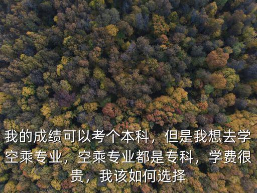 南陽空乘服務專業學費多少,空乘專業都是專科