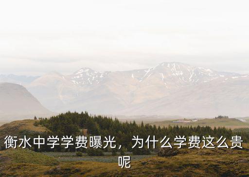 外省上衡水中學多少錢一年,衡水中學上市