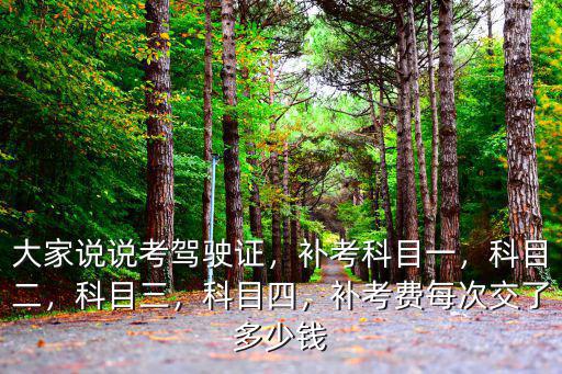 大家說說考駕駛證，補考科目一，科目二，科目三，科目四，補考費每次交了多少錢