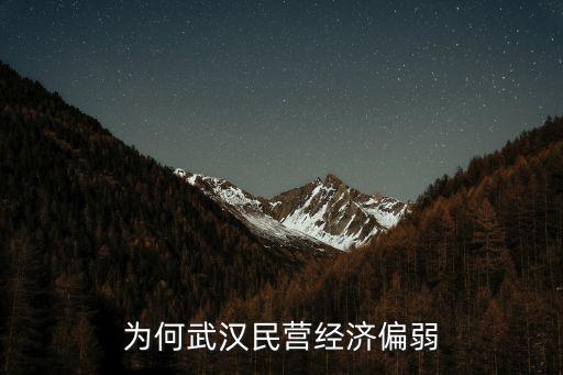 武漢民營企業(yè)怎么樣,為何武漢民營經(jīng)濟偏弱
