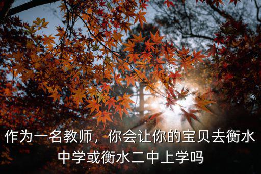 河北衡水二中多少錢能進(jìn),河北衡水中學(xué)有多厲害