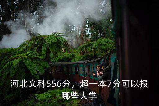 河北文科超一線多少分能報(bào)什么大學(xué),河北文科556分