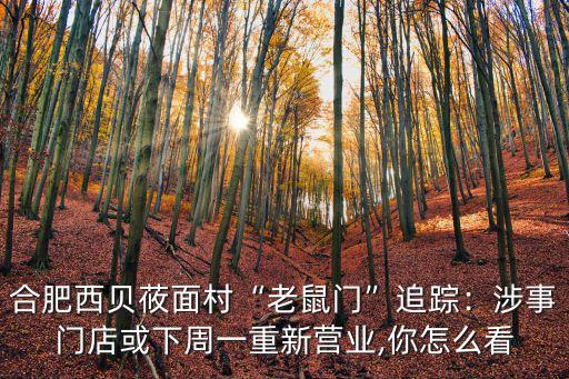 合肥有多少老鼠面試,教師招聘面試有多難